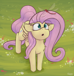 Size: 1770x1796 | Tagged: safe, artist:marsminer, imported from derpibooru, fluttershy, dragonfly, pegasus, pony, :o, curious, cute, female, looking at something, looking up, mare, open mouth, shyabetes, solo, standing, wings