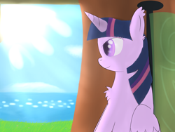 Size: 4000x3000 | Tagged: safe, artist:ghost3641, imported from derpibooru, twilight sparkle, alicorn, pony, chest fluff, colored pupils, ear fluff, female, solo, sun, twilight sparkle (alicorn)