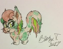 Size: 1811x1399 | Tagged: safe, artist:binkyt11, derpibooru exclusive, imported from derpibooru, oc, oc only, cat pony, original species, camouflage, cheek fluff, chest fluff, ear fluff, fangs, female, fluffy, leg fluff, paws, solo, traditional art, wingding eyes