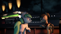 Size: 3840x2160 | Tagged: safe, artist:wintergleam, deleted from derpibooru, imported from derpibooru, nurse tenderheart, octavia melody, earth pony, pony, 3d, alternate hairstyle, britannic, duo, female, mare, night, ship, smiling, source filmmaker