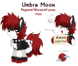 Size: 1024x865 | Tagged: safe, artist:prince-lionel, imported from derpibooru, oc, oc only, oc:umbra moon, pegasus, pony, werewolf, collar, simple background, solo, transparent background, unshorn fetlocks