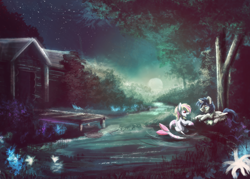 Size: 1118x800 | Tagged: safe, artist:amura-of-jupiter, artist:tiothebeetle, imported from derpibooru, oc, oc only, oc:rainy skies, pony, commission, night, river, scenery, solo, stars