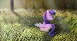 Size: 1001x540 | Tagged: safe, artist:stratodraw, imported from derpibooru, twilight sparkle, butterfly, pony, unicorn, book, crepuscular rays, cute, female, field, grass, grass field, lying down, mare, prone, reading, solo, tree, twiabetes