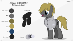 Size: 1920x1080 | Tagged: safe, artist:noah-x3, imported from derpibooru, oc, oc only, oc:noah, earth pony, pony, clothes, hoodie, male, reference sheet, show accurate, solo, stallion