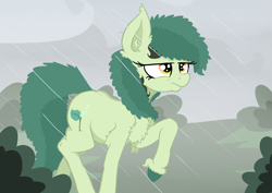 Size: 1727x1226 | Tagged: safe, artist:paskanaakka, derpibooru exclusive, imported from derpibooru, oc, oc only, oc:bittergreen, earth pony, pony, chest fluff, colored hooves, ear fluff, female, fog, mare, rain, solo, unshorn fetlocks