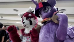 Size: 960x540 | Tagged: safe, artist:brownedtoast, imported from derpibooru, twilight sparkle, alicorn, pony, red panda, furry, fursuit, irl, japan ponycon, photo, twilight sparkle (alicorn)