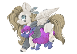 Size: 3508x2480 | Tagged: safe, artist:biskhuit, imported from derpibooru, oc, oc only, oc:akaszi, pegasus, pony, clothes, ewe, female, high res, mare, simple background, transparent background