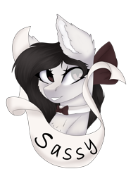 Size: 3135x4000 | Tagged: safe, artist:crazllana, imported from derpibooru, oc, oc only, oc:mary, pony, banner, bow, bowtie, bust, female, hair bow, high res, mare, portrait, simple background, solo, transparent background