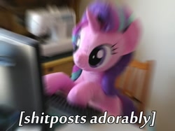 Size: 603x452 | Tagged: safe, artist:nekokevin, imported from derpibooru, starlight glimmer, pony, unicorn, series:nekokevin's glimmy, computer, cute, female, glimmerbetes, glimmerposting, image macro, irl, keyboard, mare, meme, photo, plushie, shitposting, shitposting loudly, smiling, solo, vulgar, zoom blur