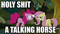 Size: 640x360 | Tagged: safe, edit, edited screencap, imported from derpibooru, screencap, fluttershy, pinkie pie, pony, bridle gossip, captain obvious, faic, image macro, meme, no shit sherlock, not salmon, poison joke, vulgar, wat, wild take