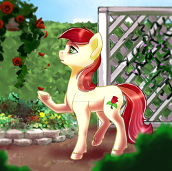 Size: 1600x1587 | Tagged: safe, artist:mysterydog121, imported from derpibooru, roseluck, earth pony, pony, commissioner:doom9454, female, flower, garden, mare, petals, rose, solo, watermark