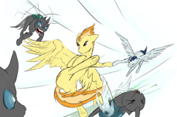 Size: 1280x845 | Tagged: safe, artist:testostepone, imported from derpibooru, soarin', spitfire, changeling, pegasus, pony, battle couple, female, fight, flying, male, mare, simple background, stallion, straight, underhoof, white background