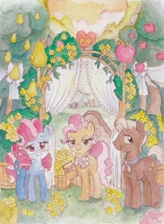 Size: 464x634 | Tagged: safe, artist:daisymane, imported from derpibooru, burnt oak, cup cake, mayor mare, earth pony, pony, the perfect pear, chiffon swirl, female, looking at you, male, mare, marriage, outdoors, smiling, stallion, traditional art, trio, watercolor painting, wedding