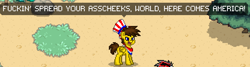 Size: 643x173 | Tagged: safe, imported from derpibooru, screencap, oc, oc only, oc:blu skies, pony, pony town, 4th of july, american independence day, holiday, independence day, patriotic, united states, vulgar