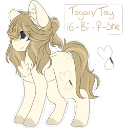 Size: 2048x2048 | Tagged: safe, artist:cinnamontee, imported from derpibooru, oc, oc only, oc:tegan, earth pony, pony, chest fluff, female, high res, mare, reference sheet, solo