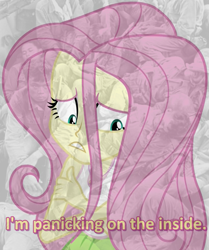 Size: 823x984 | Tagged: safe, edit, edited screencap, imported from derpibooru, screencap, fluttershy, equestria girls, mirror magic, spoiler:eqg specials, cropped, female, missing accessory, panicking, scared, solo, subtitles, vietnam flashback