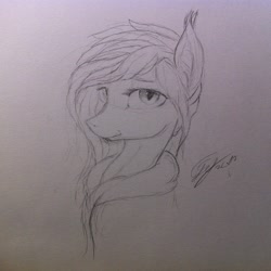 Size: 1936x1936 | Tagged: safe, artist:lilac, imported from derpibooru, oc, oc only, oc:lilac mist, bat pony, pony, clothes, female, hoodie, looking at you, monochrome, sketch, solo, traditional art