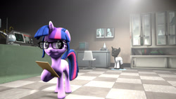 Size: 1920x1080 | Tagged: safe, artist:jojobibou, imported from derpibooru, sci-twi, twilight sparkle, pony, unicorn, equestria girls, 3d, clothes, equestria girls ponified, female, glasses, lab coat, mannequin, ponified, solo, source filmmaker, unicorn sci-twi, x-ray, x-ray picture