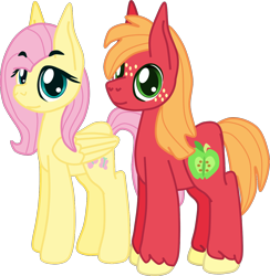 Size: 1234x1264 | Tagged: safe, artist:casanova-mew, imported from derpibooru, big macintosh, fluttershy, pony, female, fluttermac, male, shipping, simple background, straight, transparent background