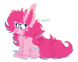 Size: 1024x819 | Tagged: safe, artist:vanillaswirl6, imported from derpibooru, part of a set, pinkie pie, earth pony, pony, big ears, biting, cheek fluff, chest fluff, colored pupils, cute, ear bite, ear fluff, female, impossibly large ears, mare, nom, ponk, scrunchy face, shoulder fluff, simple background, sitting, solo, transparent background, unshorn fetlocks