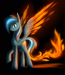 Size: 1920x2200 | Tagged: safe, artist:phenya, imported from derpibooru, oc, oc only, oc:firefly, pegasus, phoenix, pony, dark background, feather, fire, glow, glowing, light, male, stallion, tail, wings