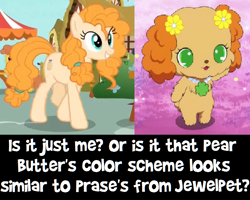 Size: 790x631 | Tagged: safe, imported from derpibooru, pear butter, dog, pony, comparison, jewelpet, prase (jewelpet), sanrio, sega