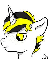 Size: 505x610 | Tagged: safe, artist:troggggggggggggggggy, imported from derpibooru, oc, oc only, oc:trogler kroglethorn, pony, unicorn, bust, freckles, male, shading, simple background