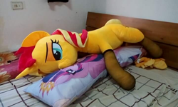 Size: 720x432 | Tagged: safe, artist:ec31314, artist:nekokevin, imported from derpibooru, applejack, sunset shimmer, twilight sparkle, alicorn, pony, unicorn, bedroom eyes, body pillow, female, irl, lesbian, lidded eyes, life size, photo, plushie, shipping, sunsetsparkle, twilight sparkle (alicorn)