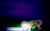 Size: 4000x2500 | Tagged: safe, artist:ladyunilove, imported from derpibooru, fluttershy, pony, drinking, eyes closed, female, folded wings, grass, head down, night, solo, stray strand, water
