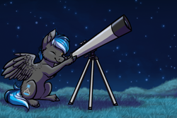 Size: 1024x683 | Tagged: safe, artist:ombraniwolf, imported from derpibooru, oc, oc only, oc:kepler, pegasus, pony, grass, night, night sky, sitting, sky, solo, stargazing, stars, telescope