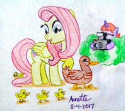 Size: 1024x907 | Tagged: safe, artist:a-bright-idea, imported from derpibooru, fluttershy, duck, pony, atg 2017, camera, newbie artist training grounds, traditional art