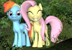 Size: 1162x812 | Tagged: safe, artist:rachidile, imported from derpibooru, fluttershy, rainbow dash, pony, 3d