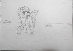 Size: 1239x872 | Tagged: safe, artist:moemneop, imported from derpibooru, oc, oc only, oc:kami, oc:lukida, bat pony, pegasus, pony, beach, female, male, mare, monochrome, ocean, seaweed, sketch, stallion, traditional art