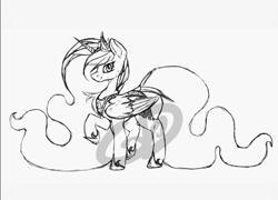 Size: 671x484 | Tagged: safe, artist:roaert, imported from derpibooru, princess luna, alicorn, pony, female, long mane, monochrome, sketch, smiling, solo, wip