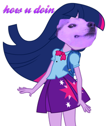 Size: 1280x1517 | Tagged: safe, artist:maggiethecatwithablo, imported from derpibooru, twilight sparkle, dog, shiba inu, equestria girls, doge, doggo, female, meme, simple background, solo, wat, white background