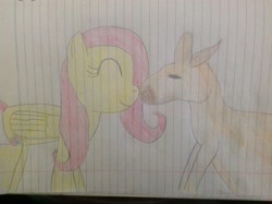 Size: 2592x1936 | Tagged: safe, artist:didgereethebrony, imported from derpibooru, fluttershy, kangaroo, pony, australia, lined paper, traditional art