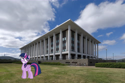 Size: 5795x3875 | Tagged: safe, artist:didgereethebrony, imported from derpibooru, twilight sparkle, twilight sparkle (alicorn), alicorn, pony, canberra, digital art, irl, library, photo, ponies in real life, solo