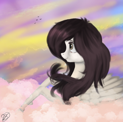 Size: 1857x1841 | Tagged: safe, artist:vinicius040598, imported from derpibooru, oc, oc only, bird, pegasus, pony, cloud, commission, female, mare, solo