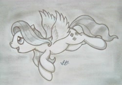 Size: 4160x2886 | Tagged: safe, artist:gian2020, imported from derpibooru, fluttershy, pegasus, pony, female, flying, high res, monochrome, solo, traditional art