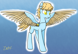 Size: 1381x955 | Tagged: safe, artist:zephyr!, imported from derpibooru, oc, oc only, oc:summerskies, pegasus, pony, gradient background, jewelry, male, necklace, solo, stallion, sun, wind, wind blown hair, windswept mane