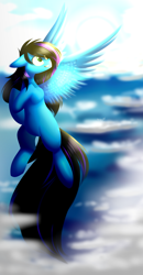 Size: 2600x5000 | Tagged: safe, artist:despotshy, imported from derpibooru, oc, oc only, oc:despy, pegasus, pony, female, flying, high res, mare, race swap, solo