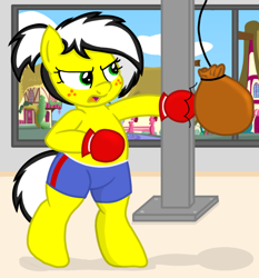 Size: 2790x3000 | Tagged: safe, artist:an-tonio, artist:toyminator900, edit, imported from derpibooru, oc, oc only, oc:uppercute, pony, bipedal, boxing gloves, clothes, freckles, punching bag, shorts, solo, window