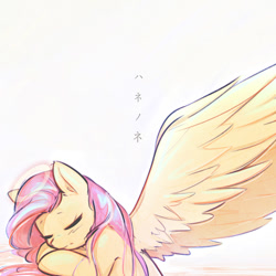 Size: 800x800 | Tagged: safe, artist:mirroredsea, imported from derpibooru, fluttershy, pegasus, pony, album cover, angel, angel halo, cute, eyes closed, female, fluttershy the angel, haibane renmei, halo, japanese, mare, ponies at dawn, shyabetes, simple background, sleeping, solo, spread wings, translation request, wings