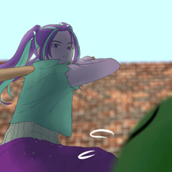 Size: 960x960 | Tagged: safe, artist:amazingpuffhair, imported from derpibooru, aria blaze, oc, oc:anon, equestria girls, rainbow rocks, baseball bat, clothes, duo, imminent death, solo focus