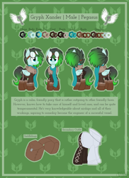 Size: 3200x4400 | Tagged: safe, artist:kellythedrawinguni, imported from derpibooru, oc, oc only, oc:gryph xander, pegasus, pony, bomber jacket, boots, clothes, goggles, high res, jacket, male, pants, reference sheet, saddle bag, scarf, shoes, solo, stallion