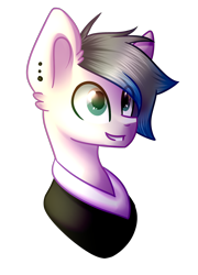 Size: 1036x1440 | Tagged: safe, artist:despotshy, imported from derpibooru, oc, oc only, oc:oliver, earth pony, pony, bust, clothes, male, portrait, simple background, solo, stallion, transparent background