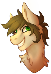 Size: 2243x3248 | Tagged: safe, artist:thenerdycockatiel, imported from derpibooru, oc, oc only, oc:frae, pony, simple background, solo, transparent background