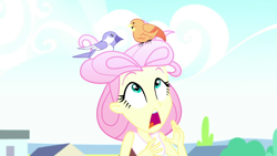 Size: 1920x1080 | Tagged: safe, imported from derpibooru, screencap, fluttershy, epic fails (equestria girls), eqg summertime shorts, equestria girls, female, solo