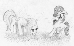 Size: 955x595 | Tagged: safe, artist:t72b, derpibooru exclusive, imported from derpibooru, fluttershy, rarity, pegasus, pony, unicorn, disgusted, grayscale, grazing, herbivore, horses doing horse things, monochrome, raised hoof, story in the comments, traditional art, uncouth