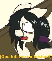 Size: 367x432 | Tagged: safe, artist:scraggleman, imported from derpibooru, oc, oc only, oc:floor bored, earth pony, pony, /mlp/, 4chan, angry, dank memes, dialogue, filthy frank, looking up, meme, open mouth, ponytail, prone, shitposting, solo